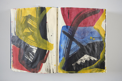 sketchbooks | carnet-2009 | &copy; patrice de Santa Coloma