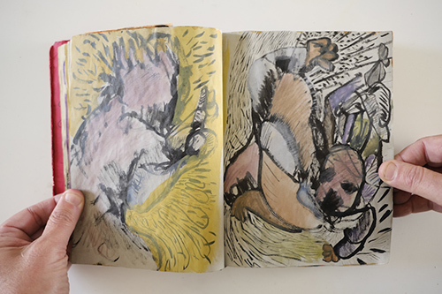 sketchbooks | carnet-2010 | &copy; patrice de Santa Coloma