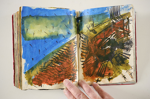 sketchbooks | carnet-2010 | &copy; patrice de Santa Coloma