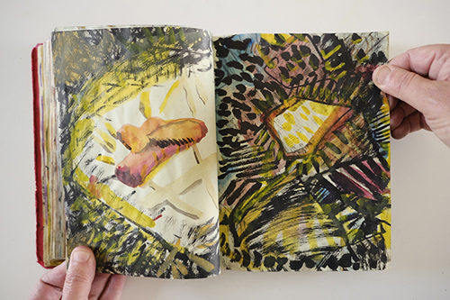 sketchbooks | carnet-2010 | &copy; patrice de Santa Coloma