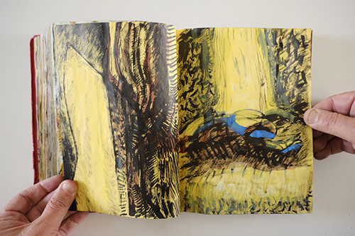 sketchbooks | carnet-2010 | &copy; patrice de Santa Coloma