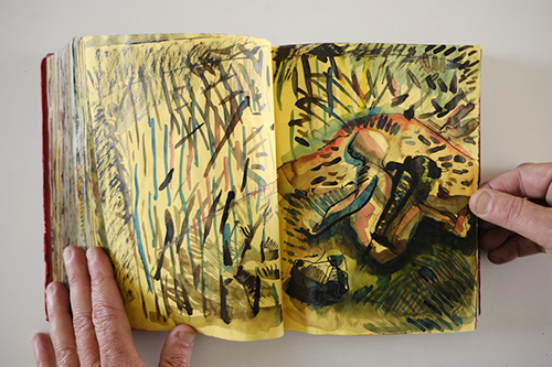 sketchbooks | carnet-2010 | &copy; patrice de Santa Coloma