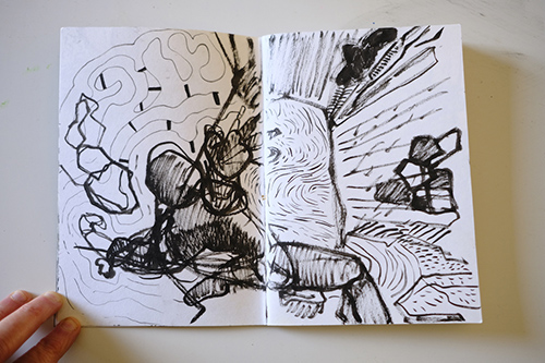 cuadernos | carnet-2011 | &copy; patrice de Santa Coloma