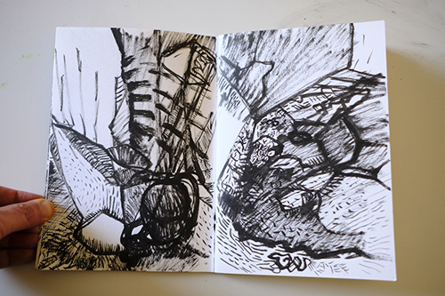 cuadernos | carnet-2011 | &copy; patrice de Santa Coloma