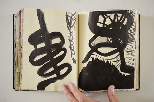 cuadernos | carnet-2011 | &copy; patrice de Santa Coloma