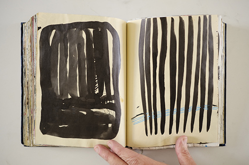 cuadernos | carnet-2011 | &copy; patrice de Santa Coloma