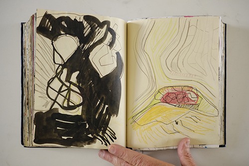 cuadernos | carnet-2011 | &copy; patrice de Santa Coloma