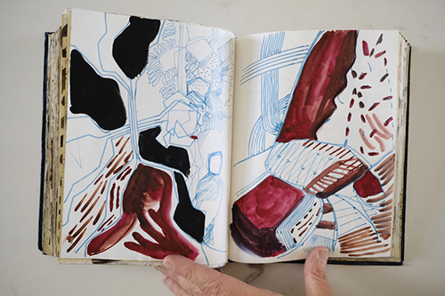 cuadernos | carnet-2011 | &copy; patrice de Santa Coloma