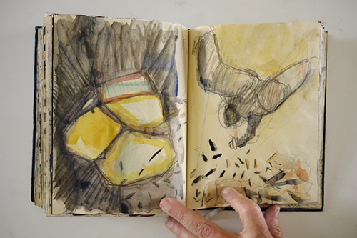 cuadernos | carnet-2011 | &copy; patrice de Santa Coloma