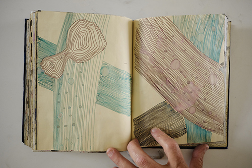 cuadernos | carnet-2011 | &copy; patrice de Santa Coloma