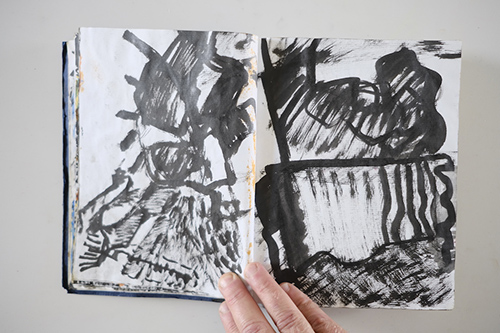 cuadernos | carnet-2011 | &copy; patrice de Santa Coloma