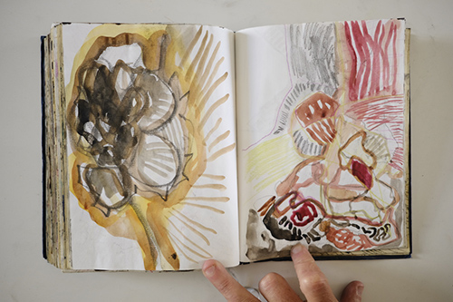 cuadernos | carnet-2011 | &copy; patrice de Santa Coloma