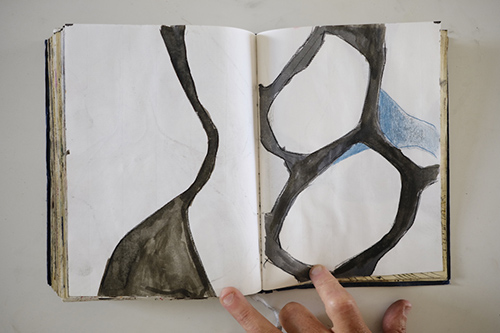 cuadernos | carnet-2011 | &copy; patrice de Santa Coloma