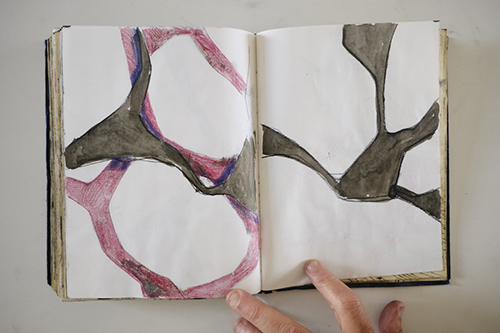 cuadernos | carnet-2011 | &copy; patrice de Santa Coloma