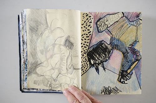 cuadernos | carnet-2011 | &copy; patrice de Santa Coloma