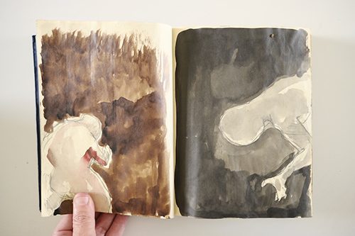 cuadernos | carnet-2011 | &copy; patrice de Santa Coloma