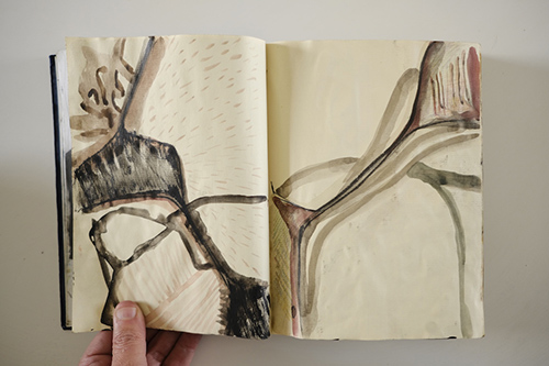 cuadernos | carnet-2011 | &copy; patrice de Santa Coloma