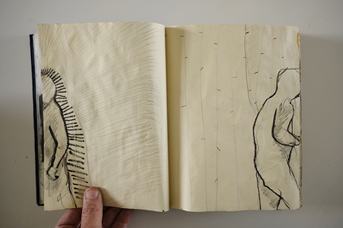 cuadernos | carnet-2011 | &copy; patrice de Santa Coloma