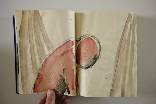 cuadernos | carnet-2011 | &copy; patrice de Santa Coloma