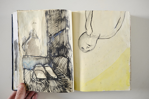 cuadernos | carnet-2011 | &copy; patrice de Santa Coloma