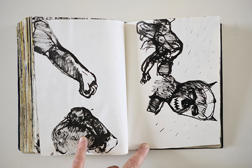 cuadernos | carnet-2011 | &copy; patrice de Santa Coloma