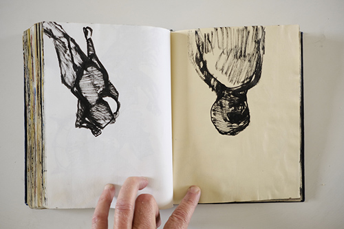 cuadernos | carnet-2011 | &copy; patrice de Santa Coloma