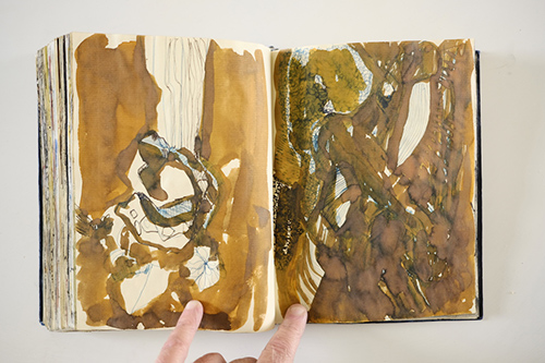 cuadernos | carnet-2011 | &copy; patrice de Santa Coloma