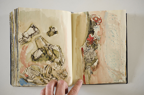 cuadernos | carnet-2011 | &copy; patrice de Santa Coloma