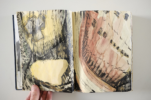 cuadernos | carnet-2011 | &copy; patrice de Santa Coloma