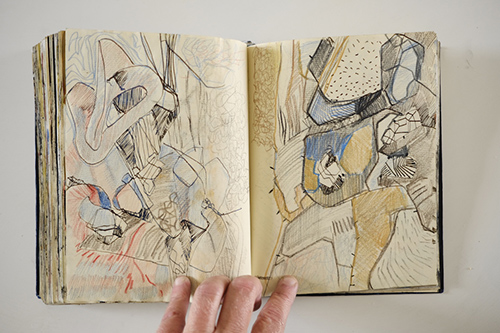 cuadernos | carnet-2011 | &copy; patrice de Santa Coloma