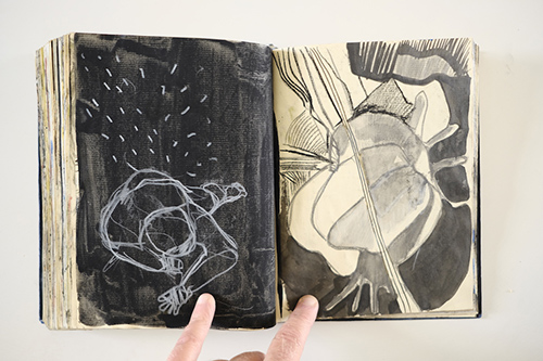 cuadernos | carnet-2011 | &copy; patrice de Santa Coloma