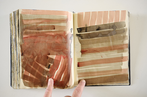 cuadernos | carnet-2011 | &copy; patrice de Santa Coloma