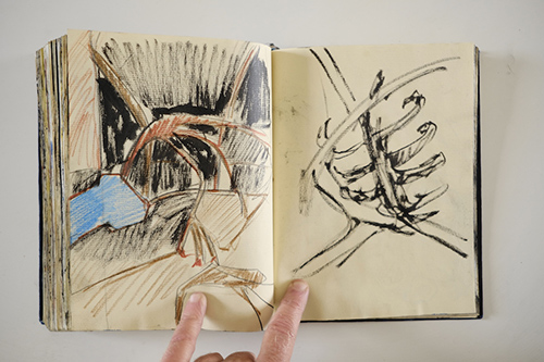 cuadernos | carnet-2011 | &copy; patrice de Santa Coloma