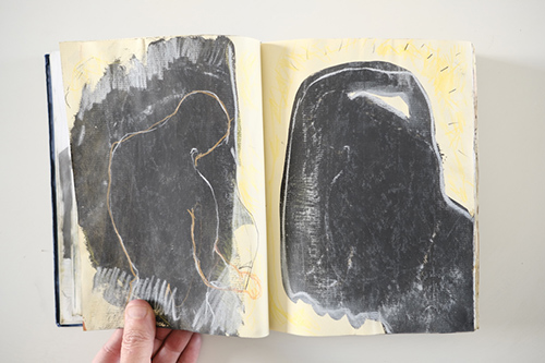cuadernos | carnet-2011 | &copy; patrice de Santa Coloma