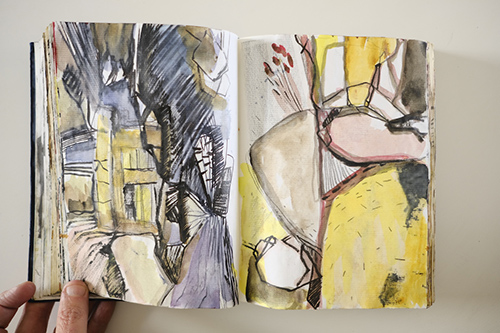 cuadernos | carnet-2011 | &copy; patrice de Santa Coloma