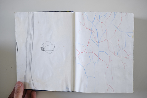 cuadernos | carnet-2011 | &copy; patrice de Santa Coloma