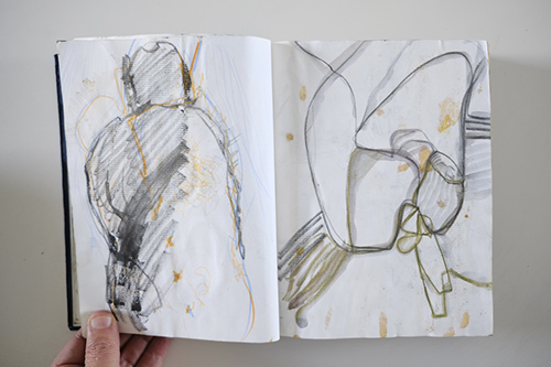 cuadernos | carnet-2011 | &copy; patrice de Santa Coloma