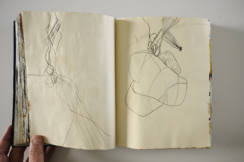 cuadernos | carnet-2011 | &copy; patrice de Santa Coloma