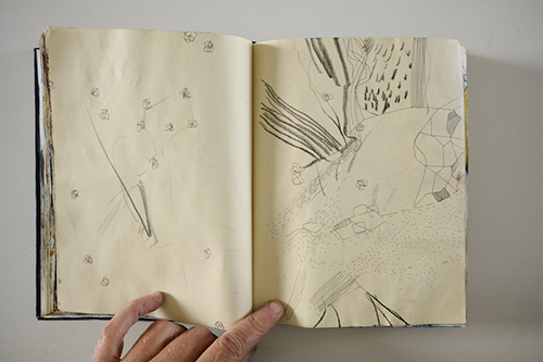 cuadernos | carnet-2011 | &copy; patrice de Santa Coloma