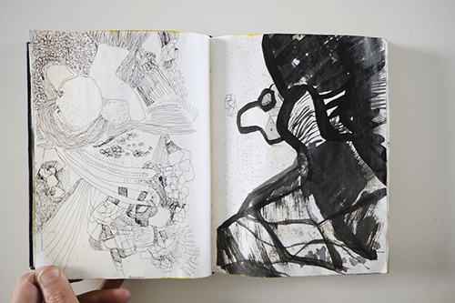 cuadernos | carnet-2011 | &copy; patrice de Santa Coloma