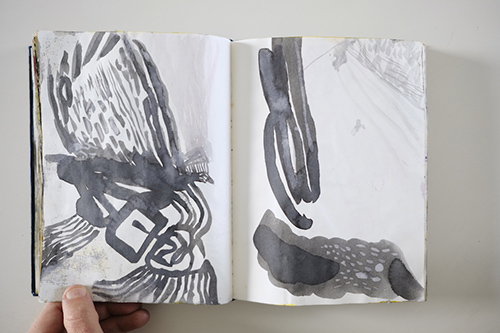 cuadernos | carnet-2011 | &copy; patrice de Santa Coloma