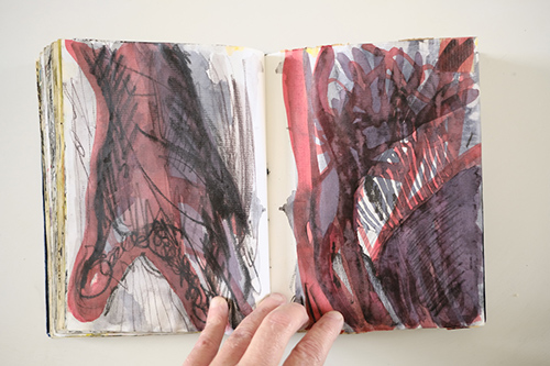 cuadernos | carnet-2011 | &copy; patrice de Santa Coloma