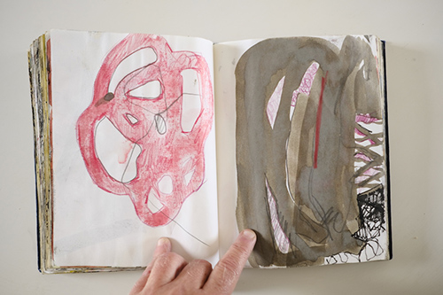 cuadernos | carnet-2011 | &copy; patrice de Santa Coloma