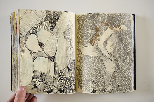 cuadernos | carnet-2011 | &copy; patrice de Santa Coloma