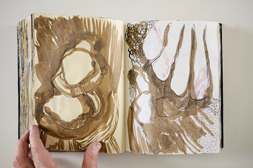 cuadernos | carnet-2011 | &copy; patrice de Santa Coloma