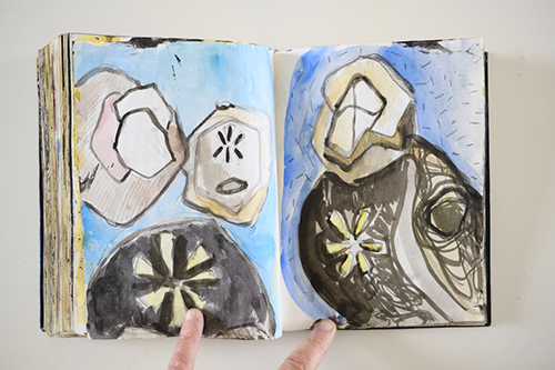 cuadernos | carnet-2011 | &copy; patrice de Santa Coloma