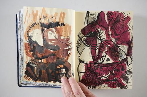 cuadernos | carnet-2011 | &copy; patrice de Santa Coloma