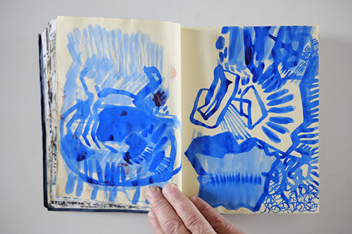 cuadernos | carnet-2011 | &copy; patrice de Santa Coloma