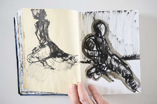 cuadernos | carnet-2011 | &copy; patrice de Santa Coloma