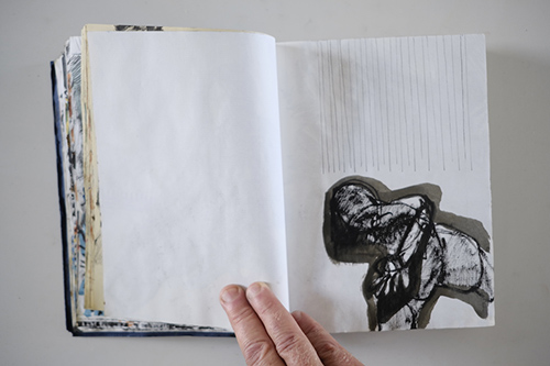 cuadernos | carnet-2011 | &copy; patrice de Santa Coloma